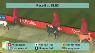 Crayford Greyhounds Races on 9th January 2024 [upl. by Ramled]