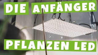 Die günstige Anfänger Pflanzen LED  Eden Board  Crescience  Vollichtspektrum [upl. by Zebapda39]