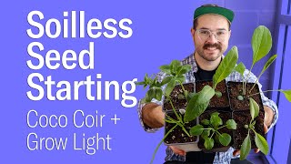 Soilless Seed Starting Indoors • Coco Coir Basics and Results [upl. by Slifka496]