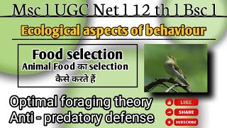 Ecological aspects of behaviour  Food selection optimal foraging theory in msc zoology Hindi notes [upl. by Revolc]