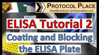 ELISA Tutorial 2 Coating and Blocking the ELISA Plate [upl. by Leitman685]