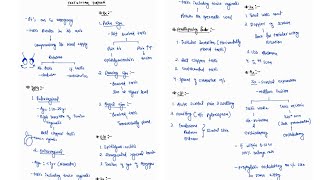 TESTICULAR TORSION NOTES ONE PAGE NOTES  TESTIS  SURGERY  4TH PROFF  MBBS [upl. by Uno]