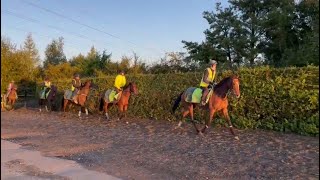 Gallops 29092024 Julia Feilden Racing [upl. by Avrit871]