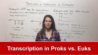 Transcription in Prokaryotes vs Eukaryotes [upl. by Latyrc]