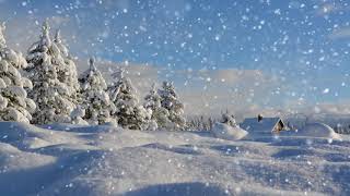 Winter wonderland with relaxing piano music Smart TV background video [upl. by Alric266]