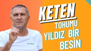 KETEN TOHUMU FAYDALARI KETEN TOHUMU NASIL KULLANILIR TÜKETİLİR ÖZELLİKLERİ [upl. by Ddat931]