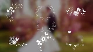 7 Wedding Ornaments With Flowers Stock Motion Graphics [upl. by Nicky552]