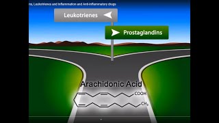 Eicosanoids Prostaglandins Leukotrienes and Inflammation and Antiinflammatory drugs [upl. by Zysk]