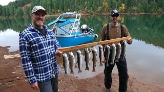 Sacramento River Super Bait Salmon amp Secret Lake Trout Fishing [upl. by Dnarud]