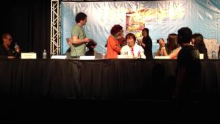 Kamehameha at Animazement 2013 DBZ Panel [upl. by Burke]