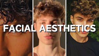 How To Get ModelTier Facial Aesthetics 13 Tips [upl. by Strickman]