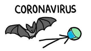 Why Do Bats Carry So Many Diseases like Coronavirus [upl. by Enicnarf]