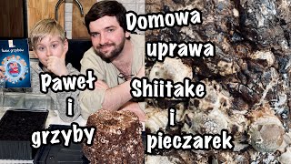 PIECZARKI SHIITAKE I Domowa uprawa grzybów I Jak rozpocząć uprawę w domu oraz zachęcić dziecko❓ [upl. by Noinatrad]