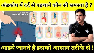 Testicular Pain  अंडकोष में दर्द की समस्या को कैसे पहचाने   By Dr Ramdeo Lamoria [upl. by Koss]