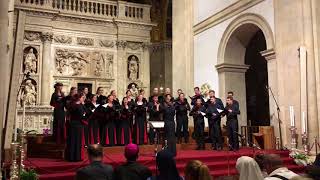 Gaudeamus Choir Brno  Ola Gjeilo Northern Lights [upl. by Latrena134]