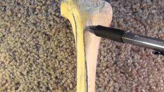 Anatomy and Osteology of Tibia [upl. by Beau]