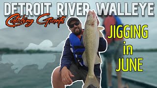 Catching BIG Walleye on the Detroit River Jigging in June [upl. by Pittman]