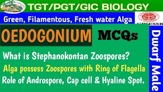 Set02 MCQs OEDOGONIUM BASED ON Thallus and Morphology [upl. by Yelyak]