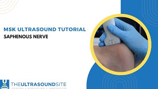 Ultrasound identification of the saphenous nerve on the lower leg [upl. by Wirth621]