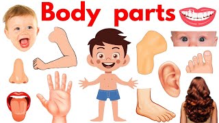 Parts of Body  Body Parts Name  Name of Body Parts in English with Pictures  bodyparts Educare [upl. by Hnahc]