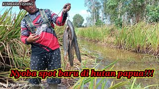 Spot baru ternyata gacor  Alam PAPUA yg sangat luar biasa bolo😍 [upl. by Ronym519]