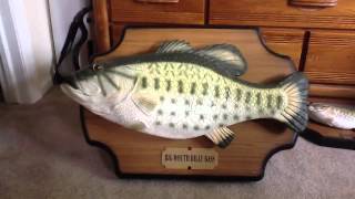 lakewi44s singing fish collection update [upl. by Berck585]