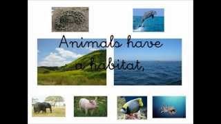 animals habitat song [upl. by Marguerita]