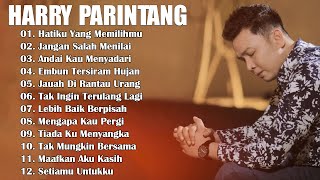 HARRY PARINTANG LAGU GALAU BIKIN BAPER  Andai Kau Menyadari [upl. by Bainbrudge750]