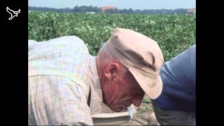 Pioniers de kolonisten van de Noordoostpolder van 19052013 [upl. by Genaro761]