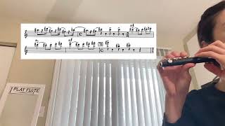 32624 practice log Shostakovich Symphony no 5 piccolo excerpt [upl. by Bunow]