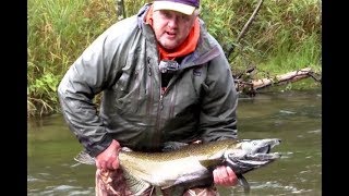 Fishing for King Salmon in the Pere Marquette River [upl. by Pierro]