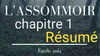 Résumé de chapitre 1  LASSOMMOIR DÉMILE ZOLA [upl. by Atilegna130]