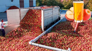 How Apple Juice Is Made In Factory  Modern Fruit Juice Making Technology  Food Factory [upl. by Acilegna913]