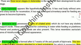 Larval Forms of EchinodermataPhylum EchinodermataZoologyBSc Zoology LectureDr Rehan Khan Sir [upl. by Eicnarf503]