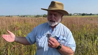 Virtual Hike on the Prairie  Fall Edition with Bruce Schuette [upl. by Roslyn663]