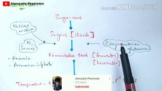 Production of Glutamic acid and Aspartic acid by fermentation  Bio science [upl. by Gabbi785]