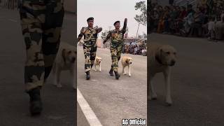 BSF Dog 🐕Parade At Jammu Suchetgarh indian shorts dog [upl. by Tennek]