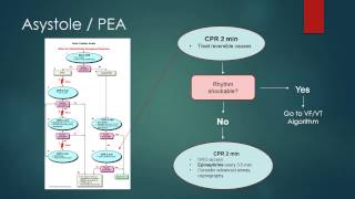 ACLS 2010 Algorithm Review Asystole PEA [upl. by Zerk]