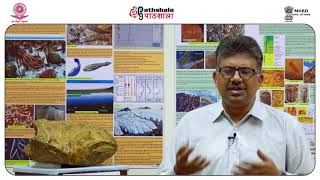 PP Chakraborty Fluvial systems and deposits [upl. by Emie]