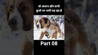 वो अंजान डॉग सभी कुत्तो पर भारी पड़ रहा है part08 shorts [upl. by Arnelle]