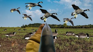 26 BANDED HONKERS ON OPENING DAY INSANE GOOSE HUNT [upl. by Ahsilac]