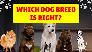 Top Dog Breeds Explained by a Vet [upl. by Onitnas]