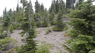 Park Boundary along Sage Pass [upl. by Otirecul]