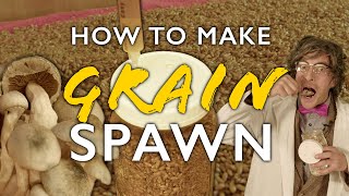 How to Make Grain Spawn A Deep Dive into the Heart of DIY Mushroom Cultivation [upl. by Natsyrt177]