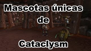 Mascotas de cazador 13 Mascotas únicas en Cataclysm [upl. by Neruat]