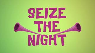 Tom Enzy x Honorebel ft Pitbull  Seize The Night Lyric Video [upl. by Jordain833]