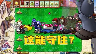 植物大战僵尸：50个盲盒僵尸，这谁能守住？【猪哥游戏解说】 [upl. by Akeme]