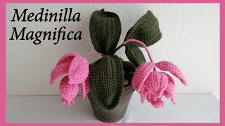 Crochet Medinilla Magnifica [upl. by Loggia]