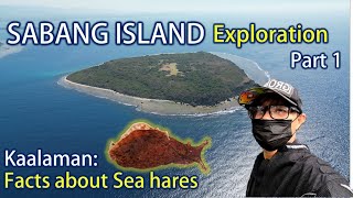 SABANG Island Cabugao Ilocos Sur Exploration Part 1 [upl. by Ruiz965]