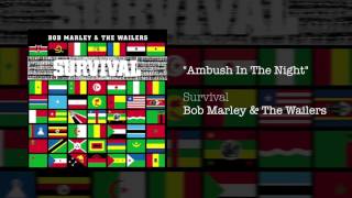 Ambush In The Night 1979  Bob Marley amp The Wailers [upl. by Zales]